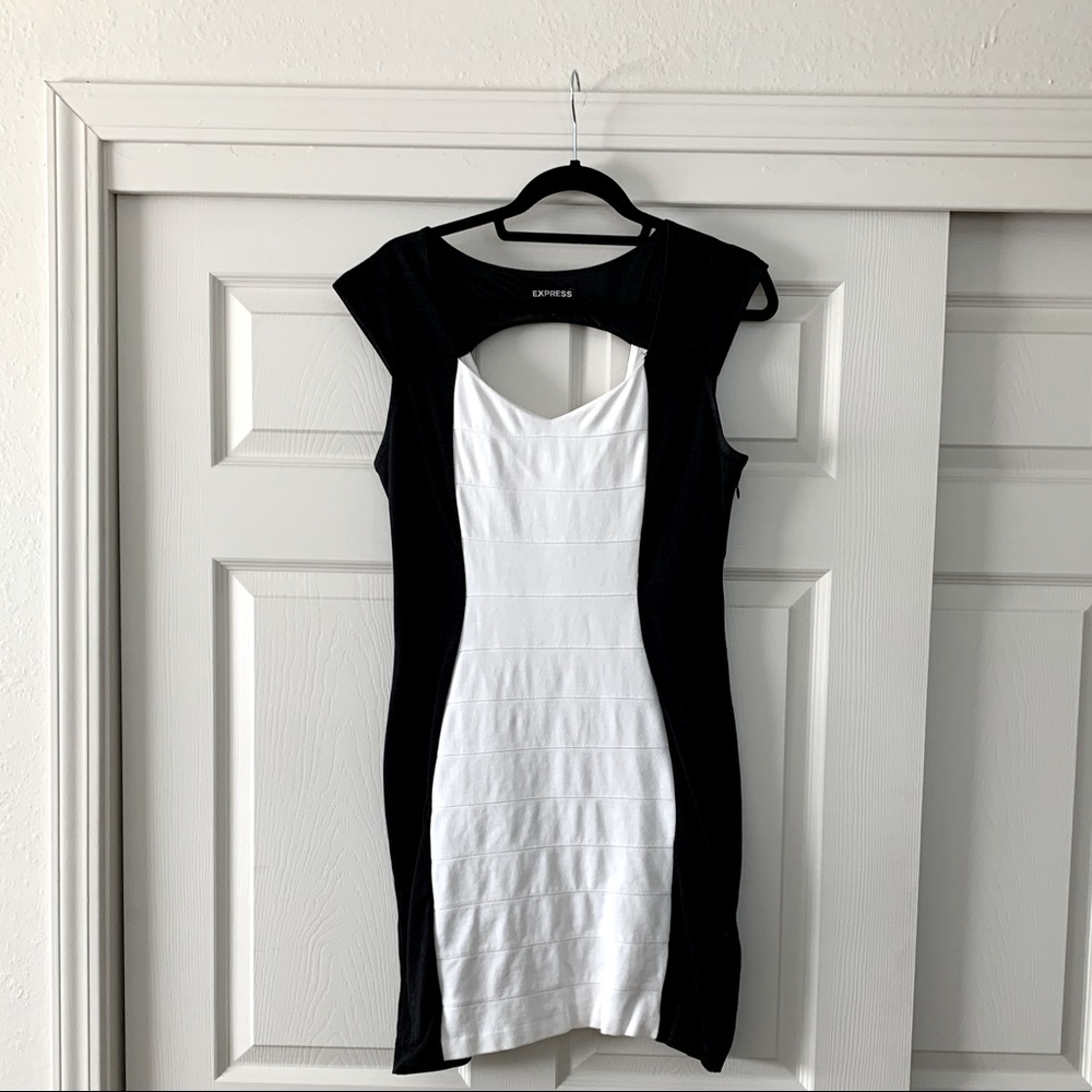 Express Knee Length Dress